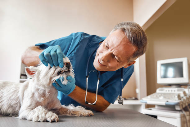  Woodbury, NJ Emergency Dentist Pros